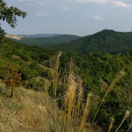 Dom wakacyjny Vendeghaz Szarvaskő