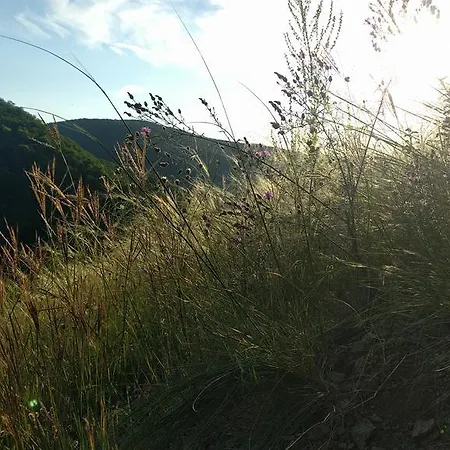 Vendeghaz Dom wakacyjny