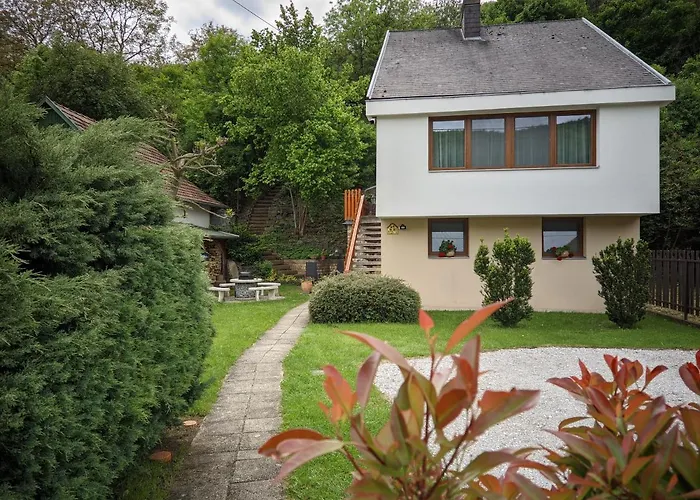 Vendeghaz Case de vacanță