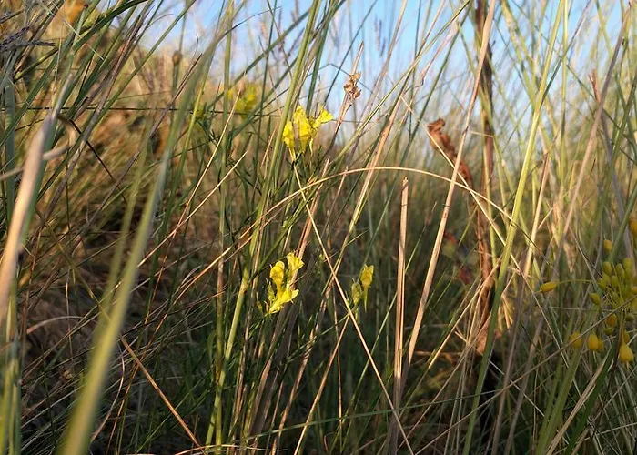 Case de vacanță Vendeghaz Szarvaskő