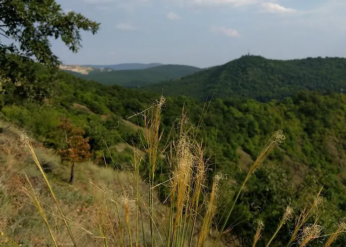 Case de vacanță Vendeghaz Szarvaskő