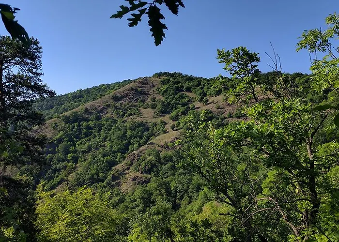 Case de vacanță Vendeghaz *