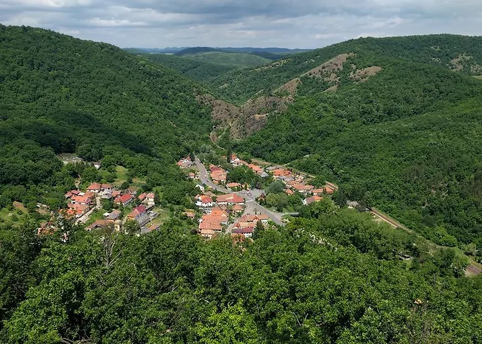 Vendeghaz Case de vacanță