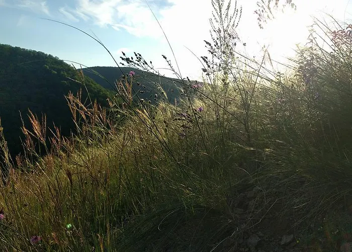 Vendeghaz Case de vacanță