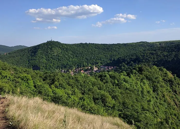 Vendeghaz Case de vacanță *